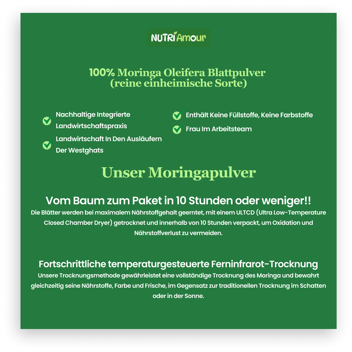 Moringa Pulver - 250 Gm