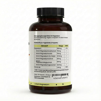 Reiner Magnesium 6x Complex + B6 - 120 vegan capsules zur Unterstützung des Energiestoffwechsels. Laborgeprüft.